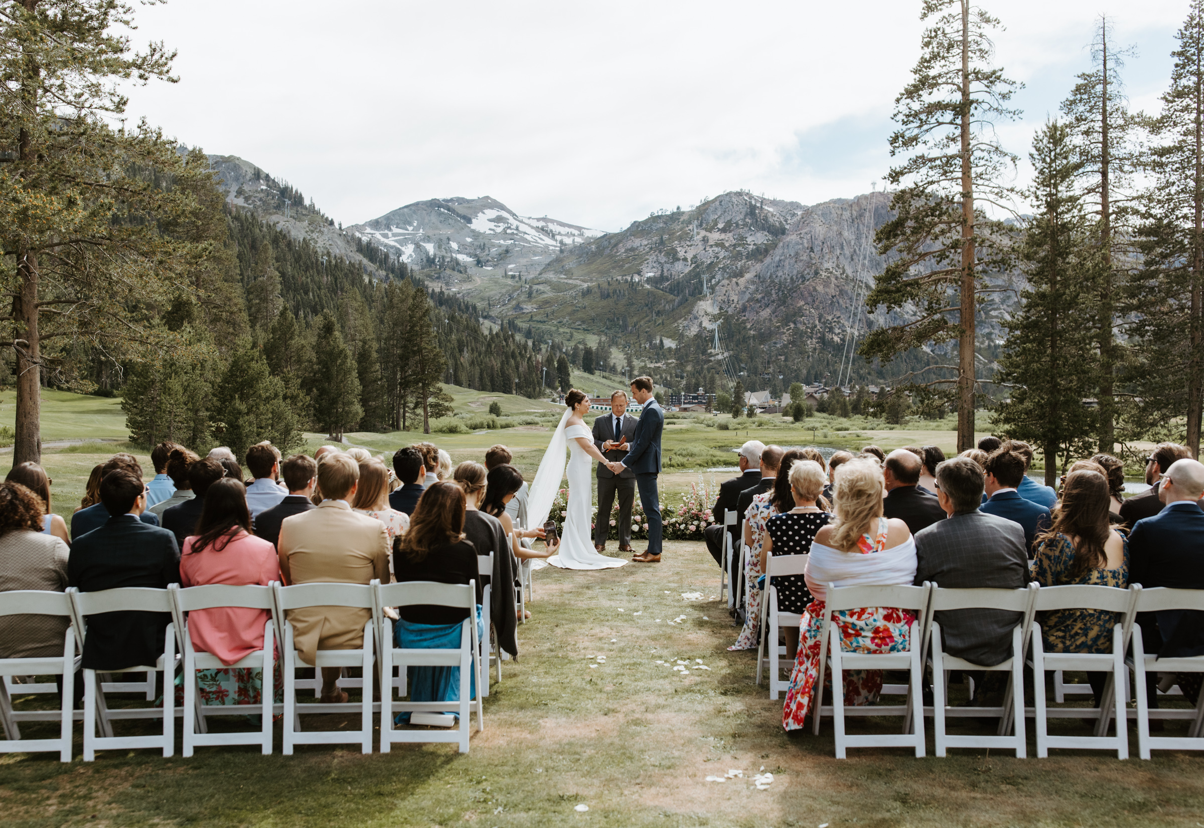 Romantic portrait of newlyweds embraced under the shade of tall evergreens.