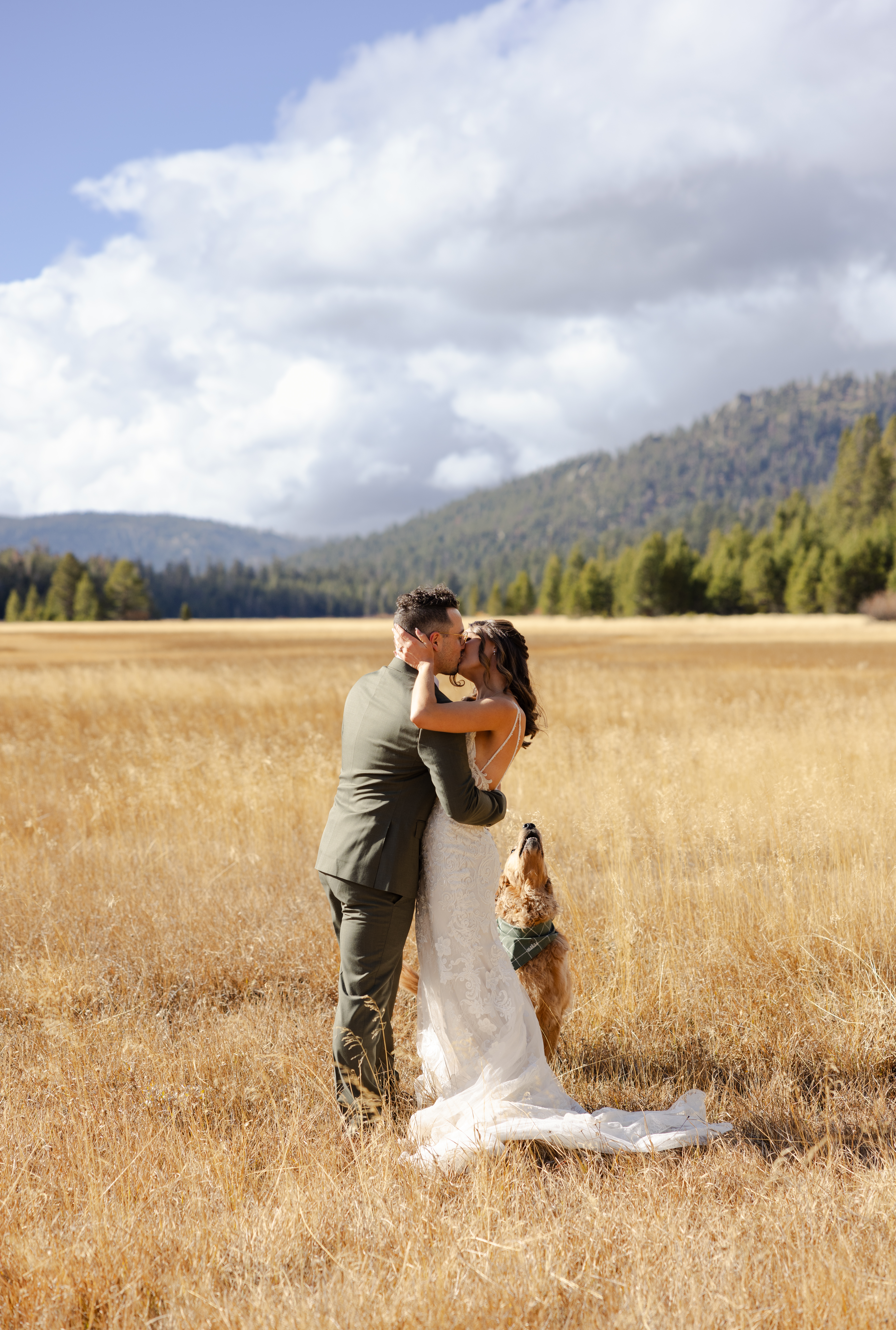 Photo of the couple sharing their first kiss with their dog howling joyfully in the background
Couple sharing a magical first kiss during their elopement, with their dog howling happily in the background, adding a fun and memorable touch to the moment.