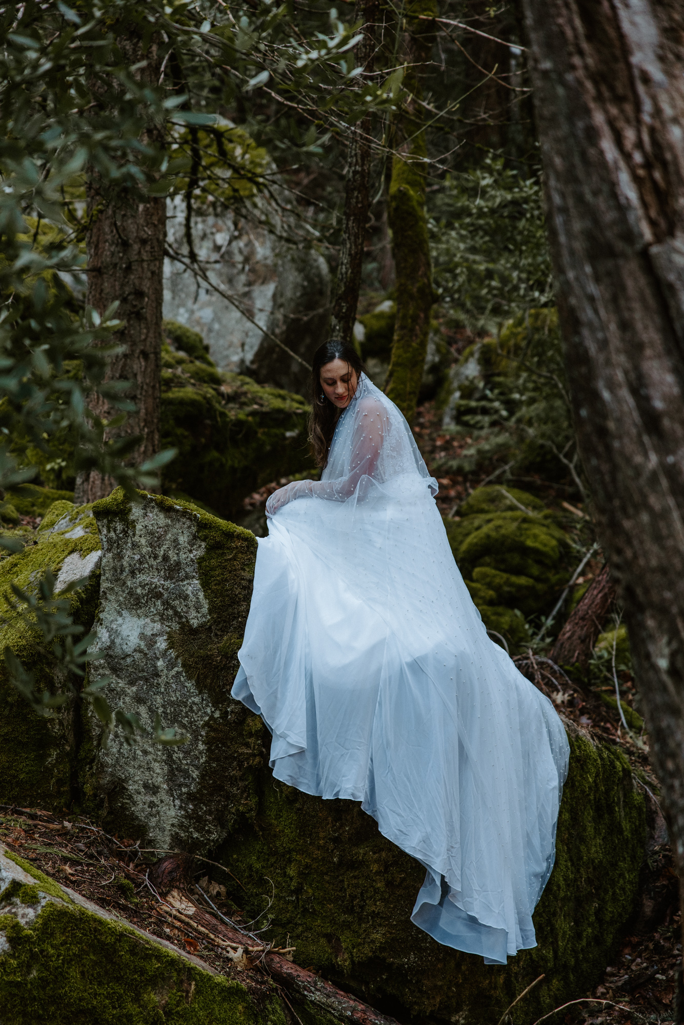 Sunlit bride leaning against a giant mossy tree — Yosemite wedding photographer