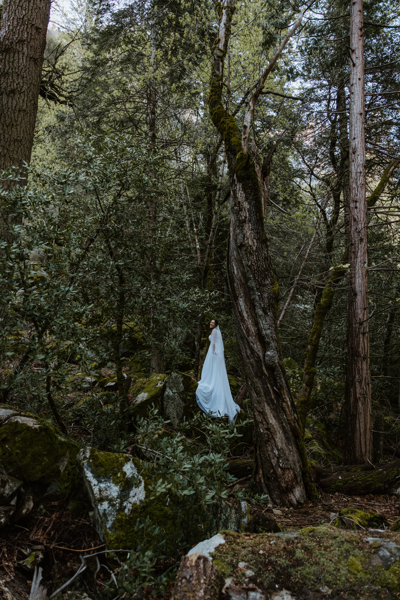 Elopement ceremony by moss-covered trees and ferns in Yosemite — intimate outdoor wedding