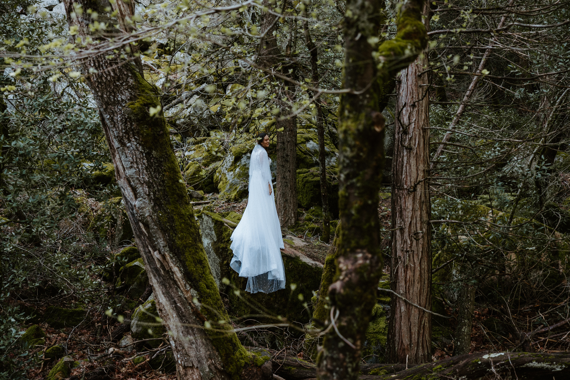 Intimate moment of a bride in her wedding dress, standing in the river with Yosemite’s majestic trees all around her.