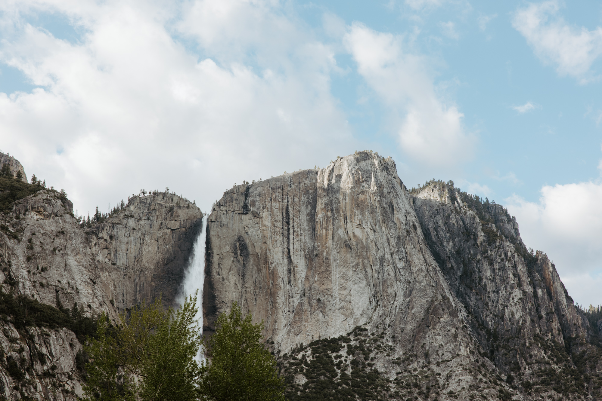 Yosemite landscape